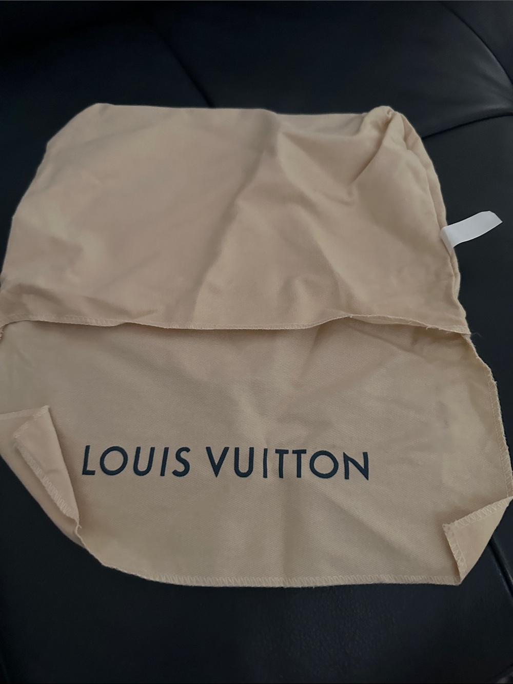 Purse dust bag